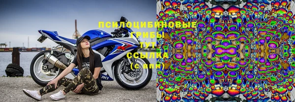 герыч Алексин
