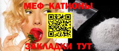 индика Кингисепп
