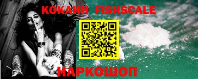индика Кингисепп