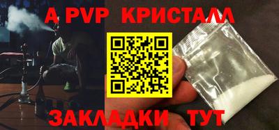 индика Кингисепп