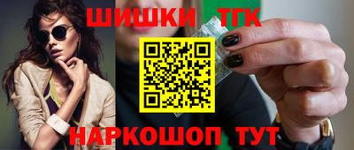 индика Кингисепп