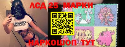 индика Кингисепп