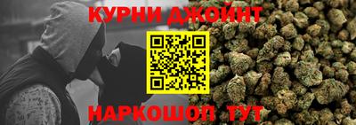 индика Кингисепп