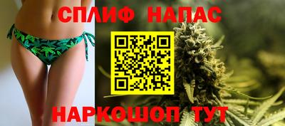 индика Кингисепп