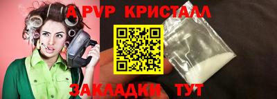 индика Кингисепп
