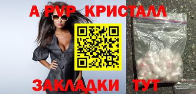 индика Кингисепп