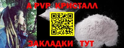 индика Кингисепп