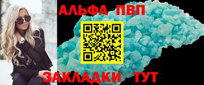 индика Кингисепп