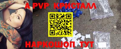 индика Кингисепп