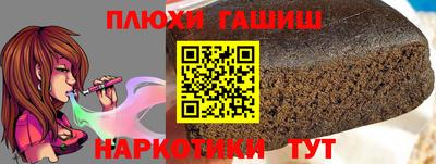 индика Кингисепп