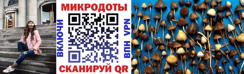 как найти закладки  ОМГ ОМГ зеркало  Псилоцибиновые грибы прущие грибы  Балтийск 