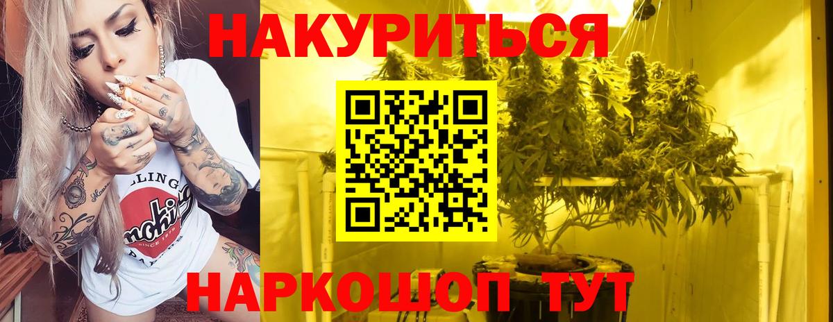 Марихуана MAZAR  Каннабис план  Вход с VPN  Бошки Шишки план  Балтийск  Бошки Шишки индика 